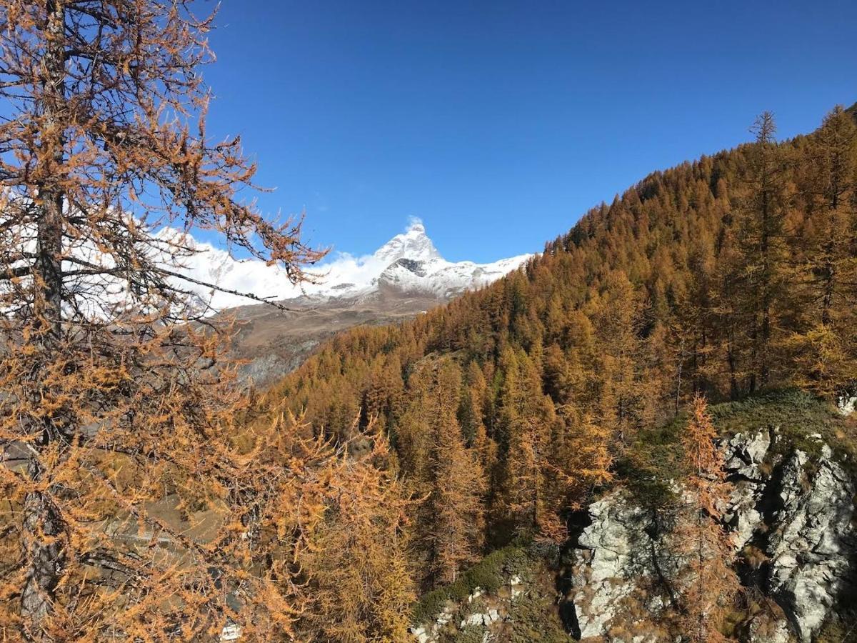 Appartamento Cervinia Fronte Funivie Breuil-Cervinia Exterior photo